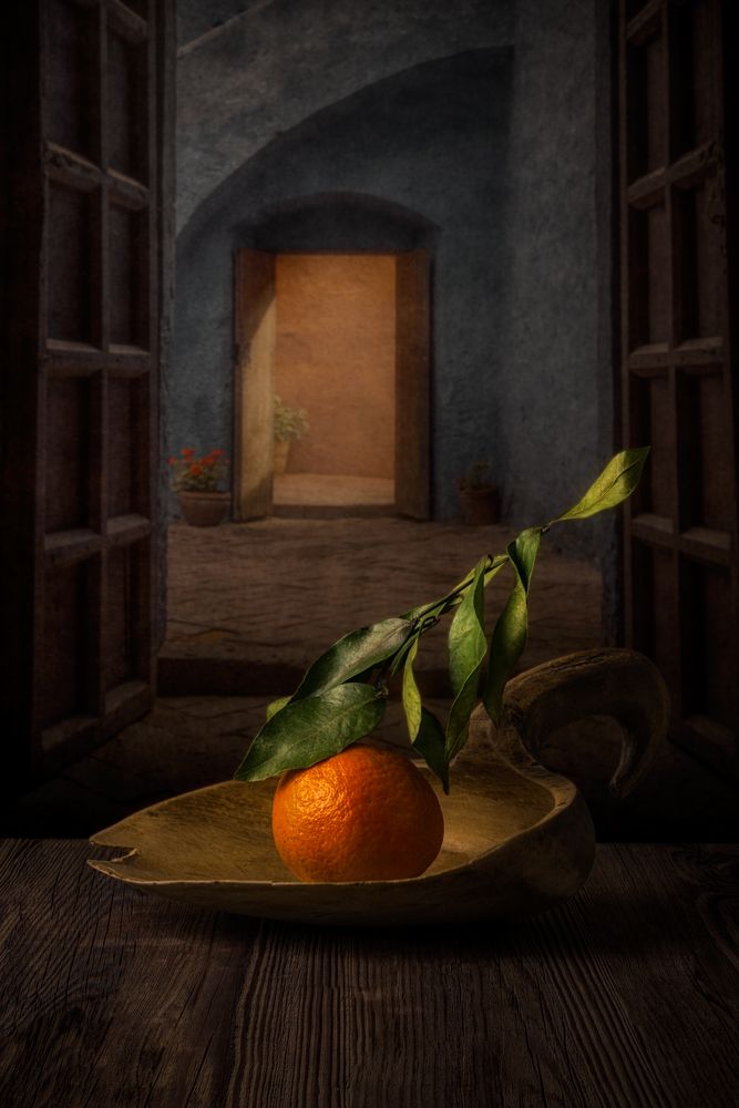 Photograph by Marko Klavs