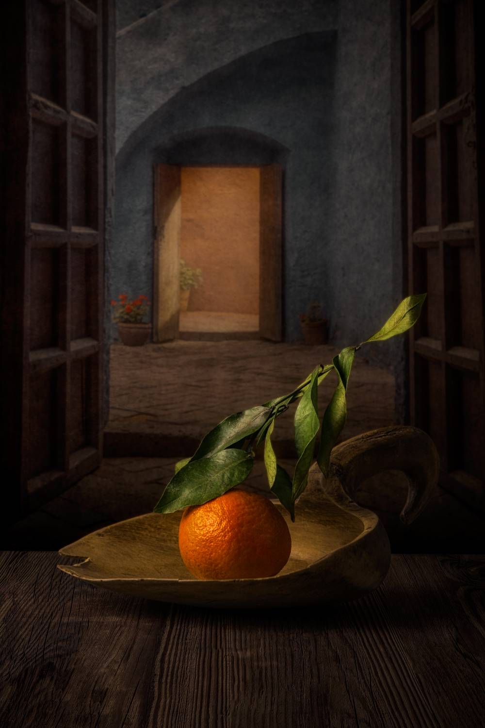 Фотография #13356584