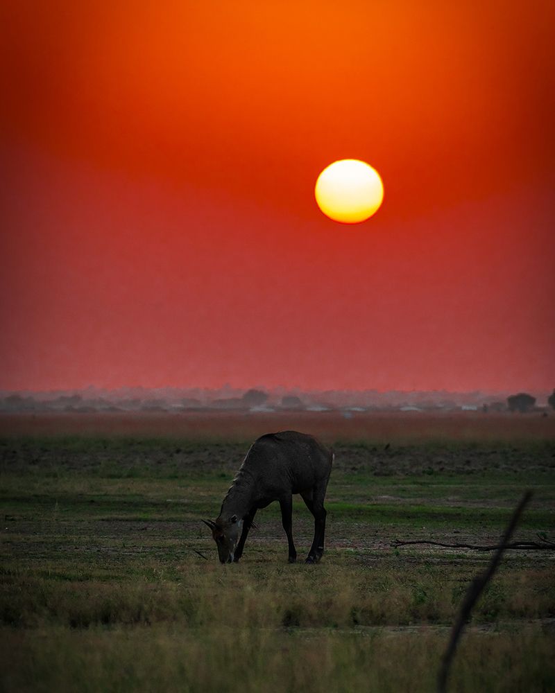 In the light of the Sun......