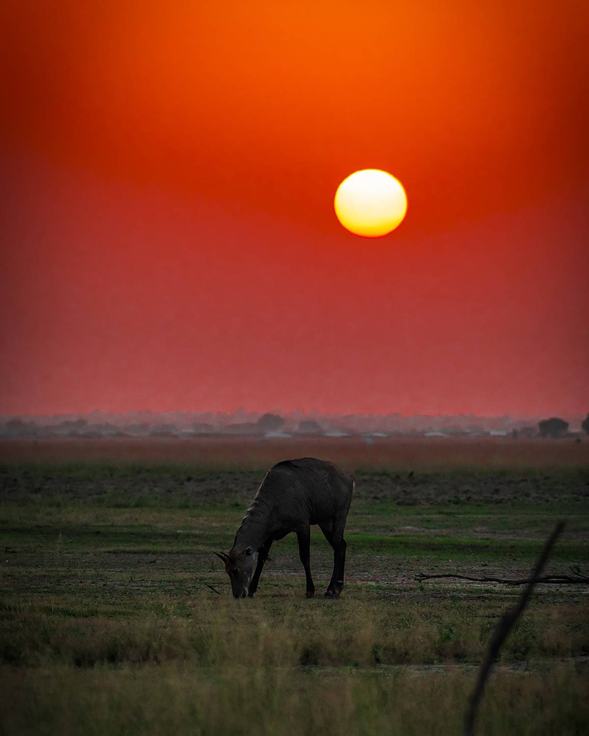 In the light of the Sun......