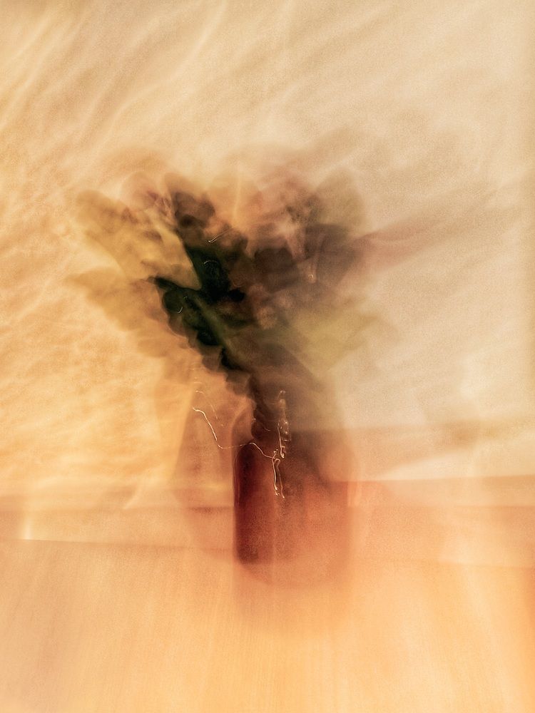 Photograph by Светлана Яковлева