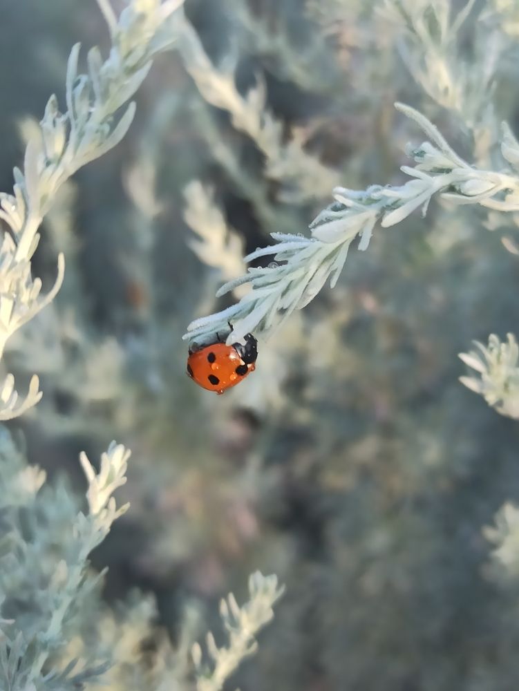 Photograph by Иван