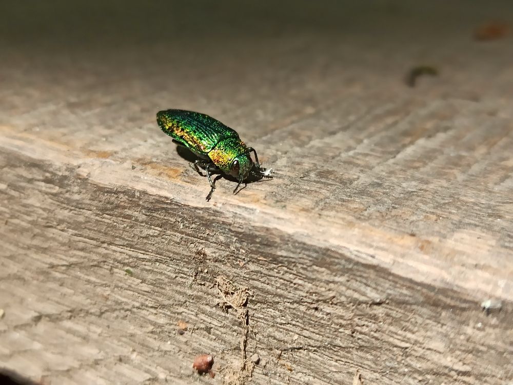 Photograph by Иван