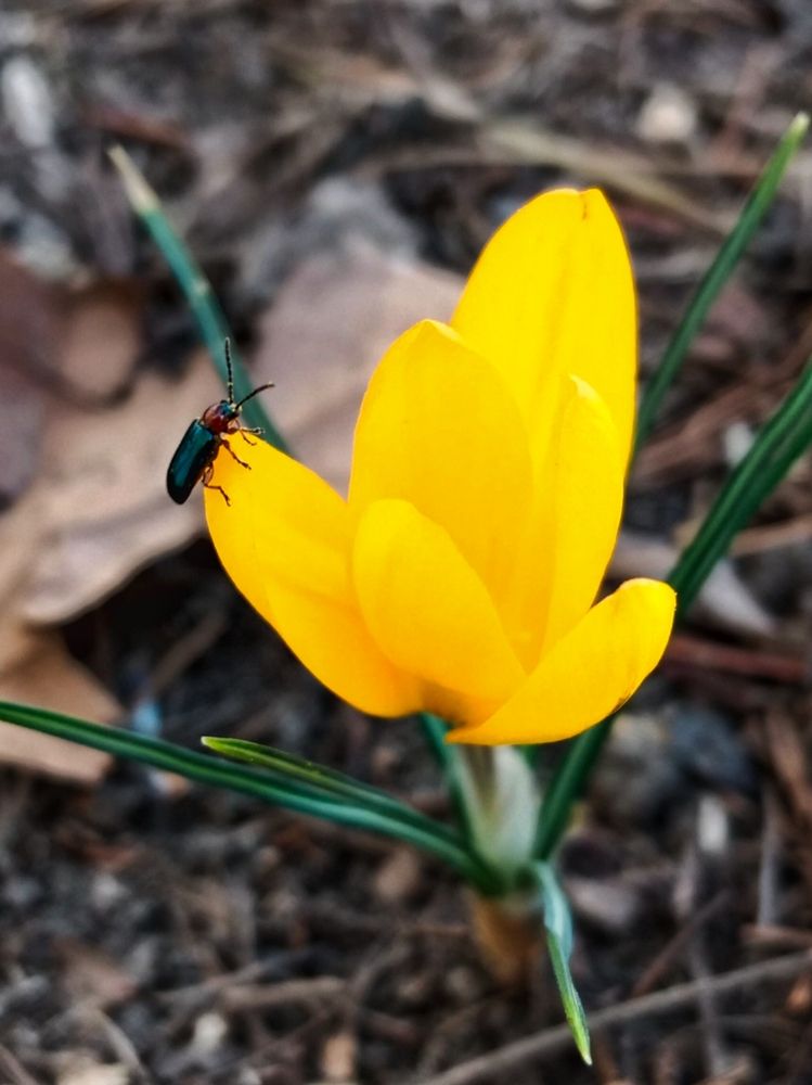 Photograph by Галина Григорьева