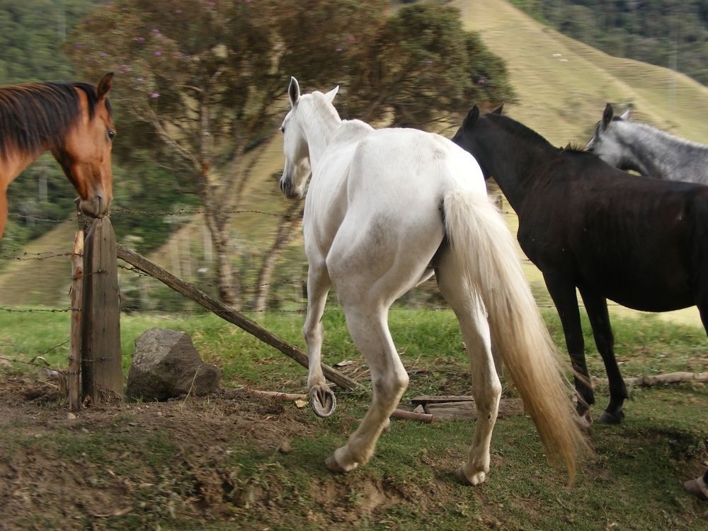 Photo #13356722