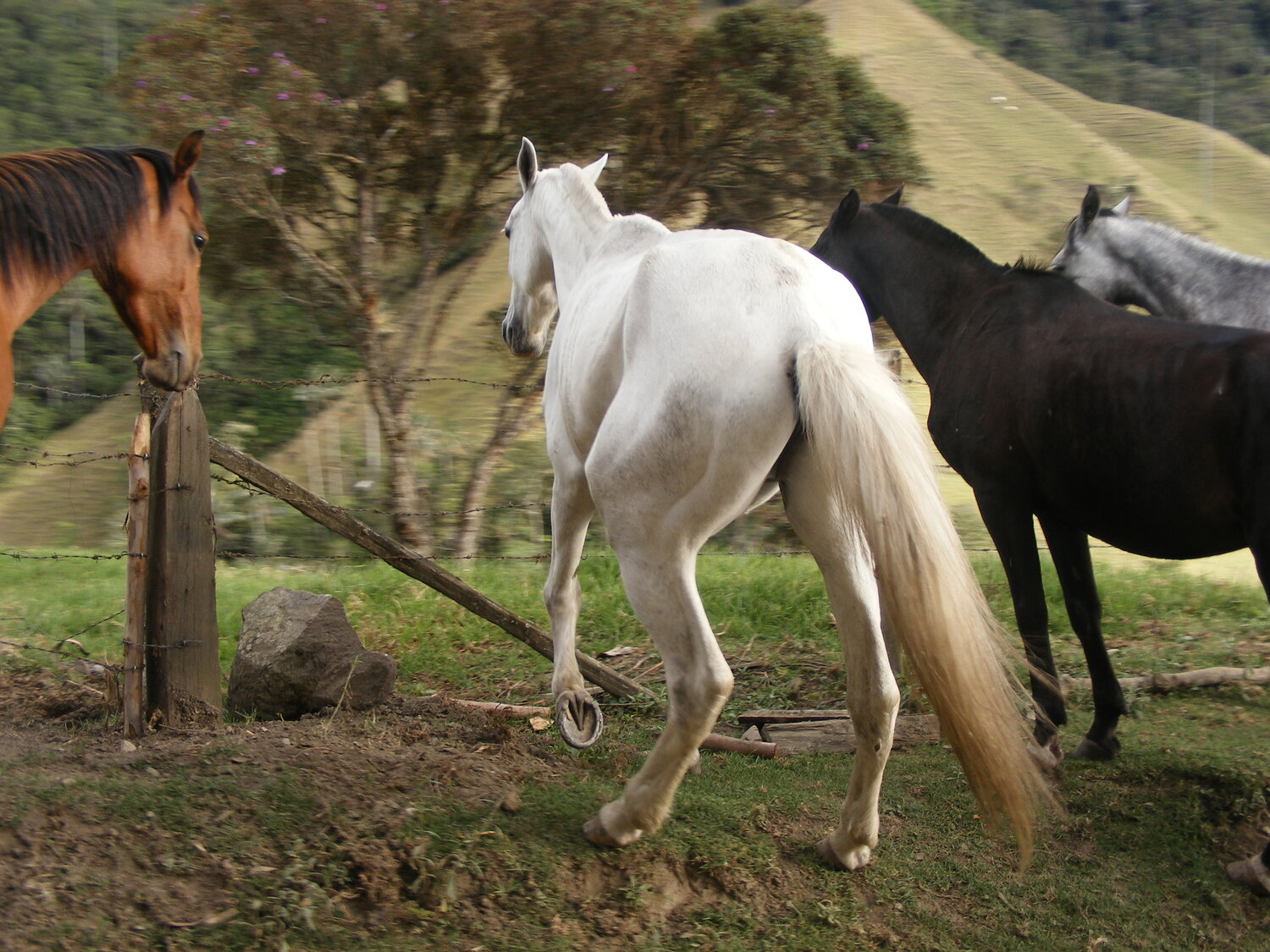 Photo #13356722