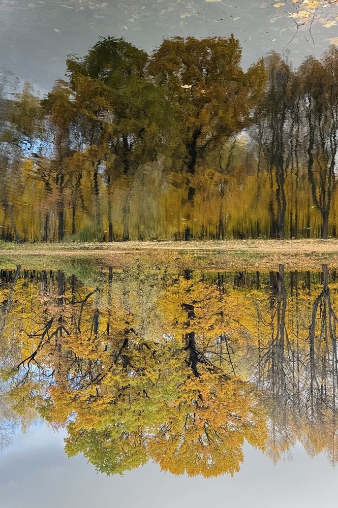 Photograph by Полина Ерофеева