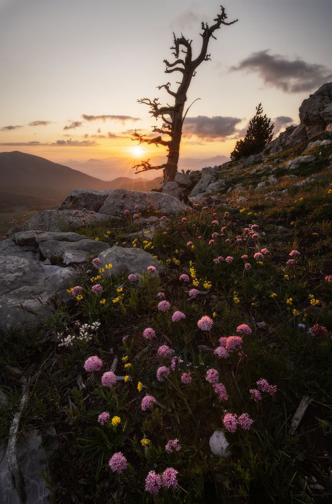 Photograph by Francesco Dimonte