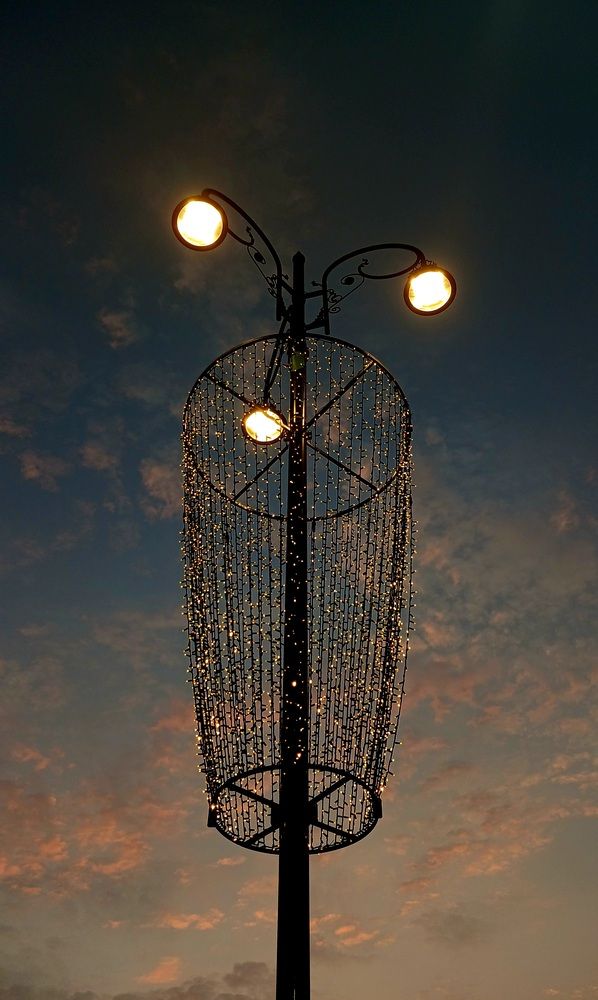 Photograph by FATEMEH AZIZITORKSALOOYEH