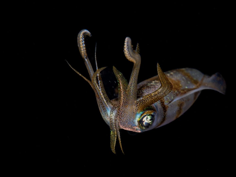 Photograph by JUAN M GUZMÁN