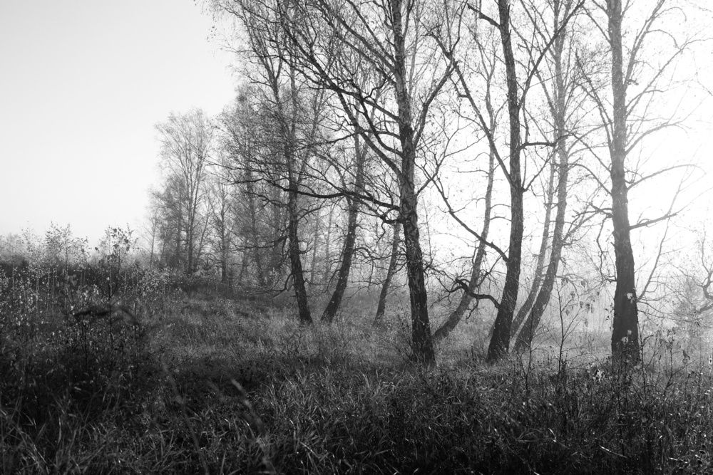 Photograph by Елена Федорова