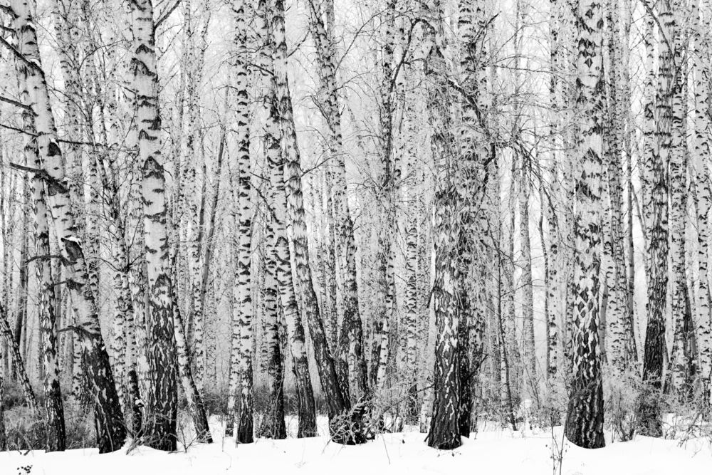 Photograph by Yulia Orina
