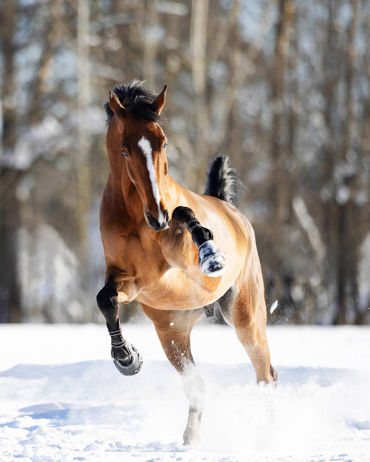 Фотография #13356964