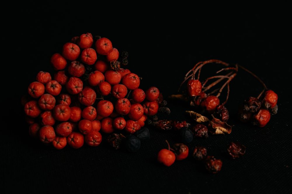Photograph by Екатерина Шугаева