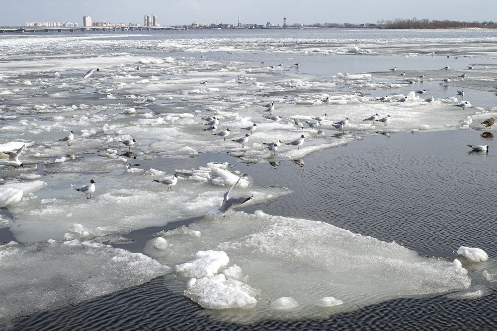 Photograph by Алла Никушкина