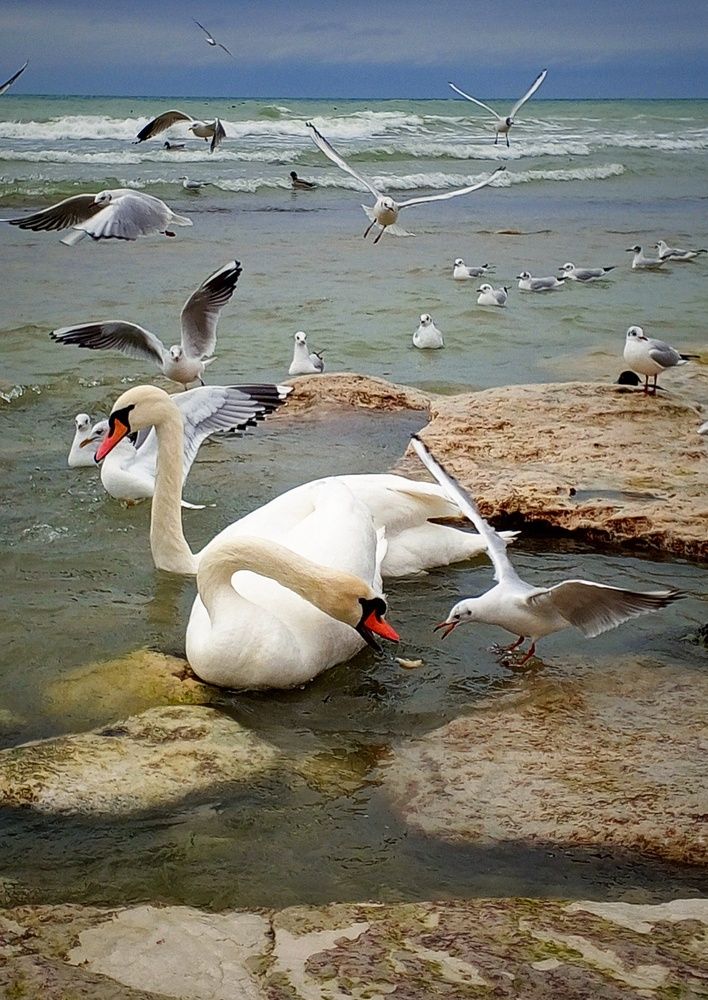 Photograph by Ольга Куцева