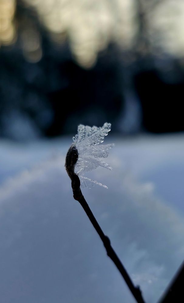 Photograph by Галина Перепечаева