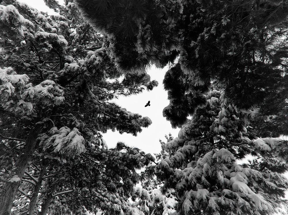 Фотография автора Farzad Ajori