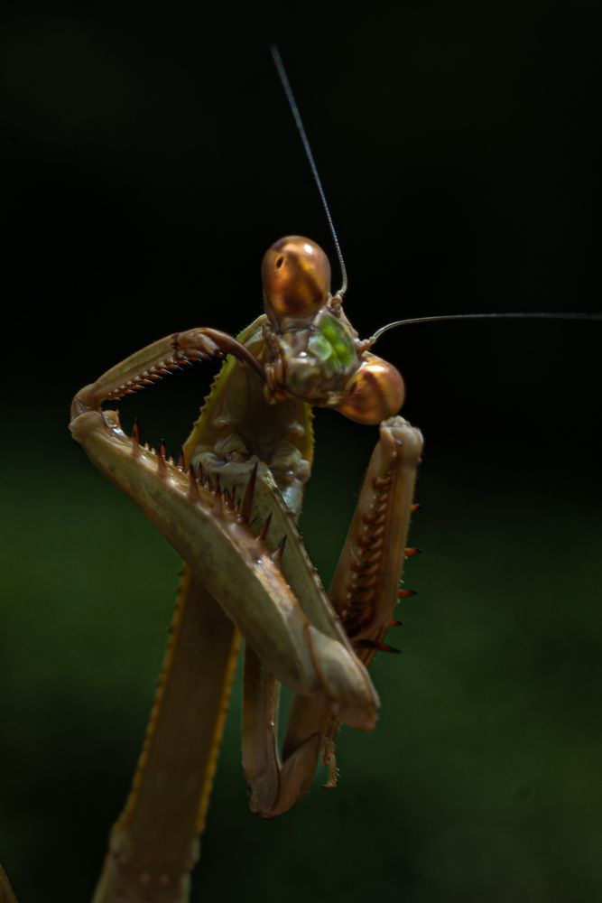 Photograph by JUAN M GUZMÁN