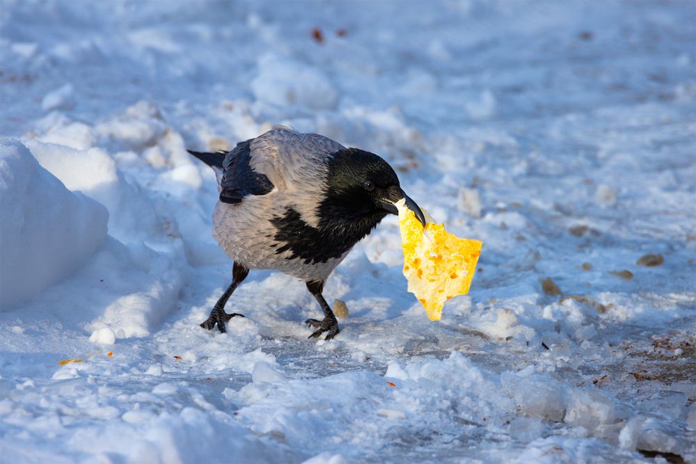 Photograph by Чудинин Дмитрий