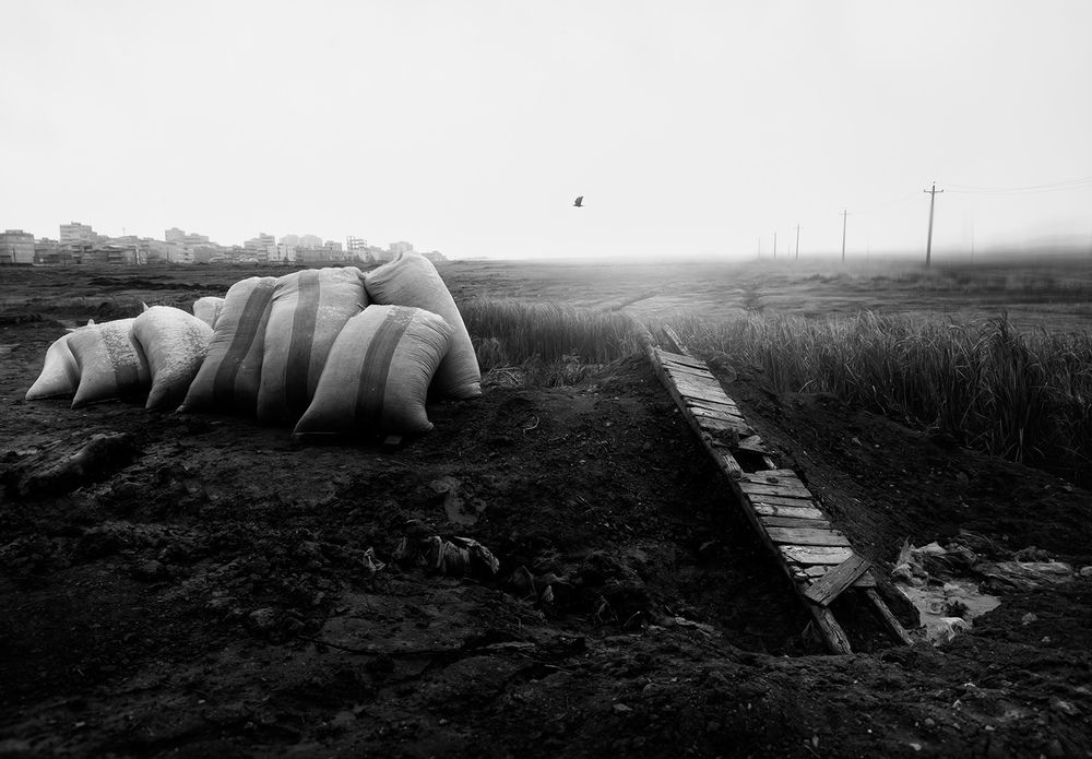 Фотография автора Farzad Ajori