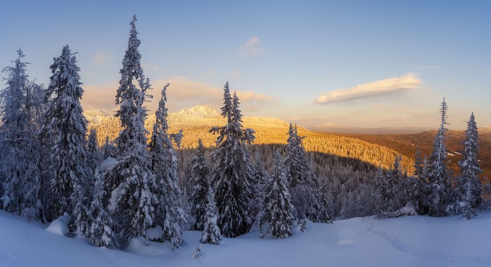 Photograph by Межин Сергей