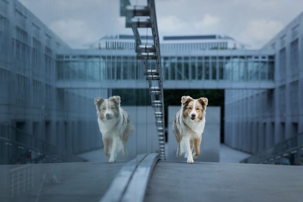 Photograph by Daniela Schmid