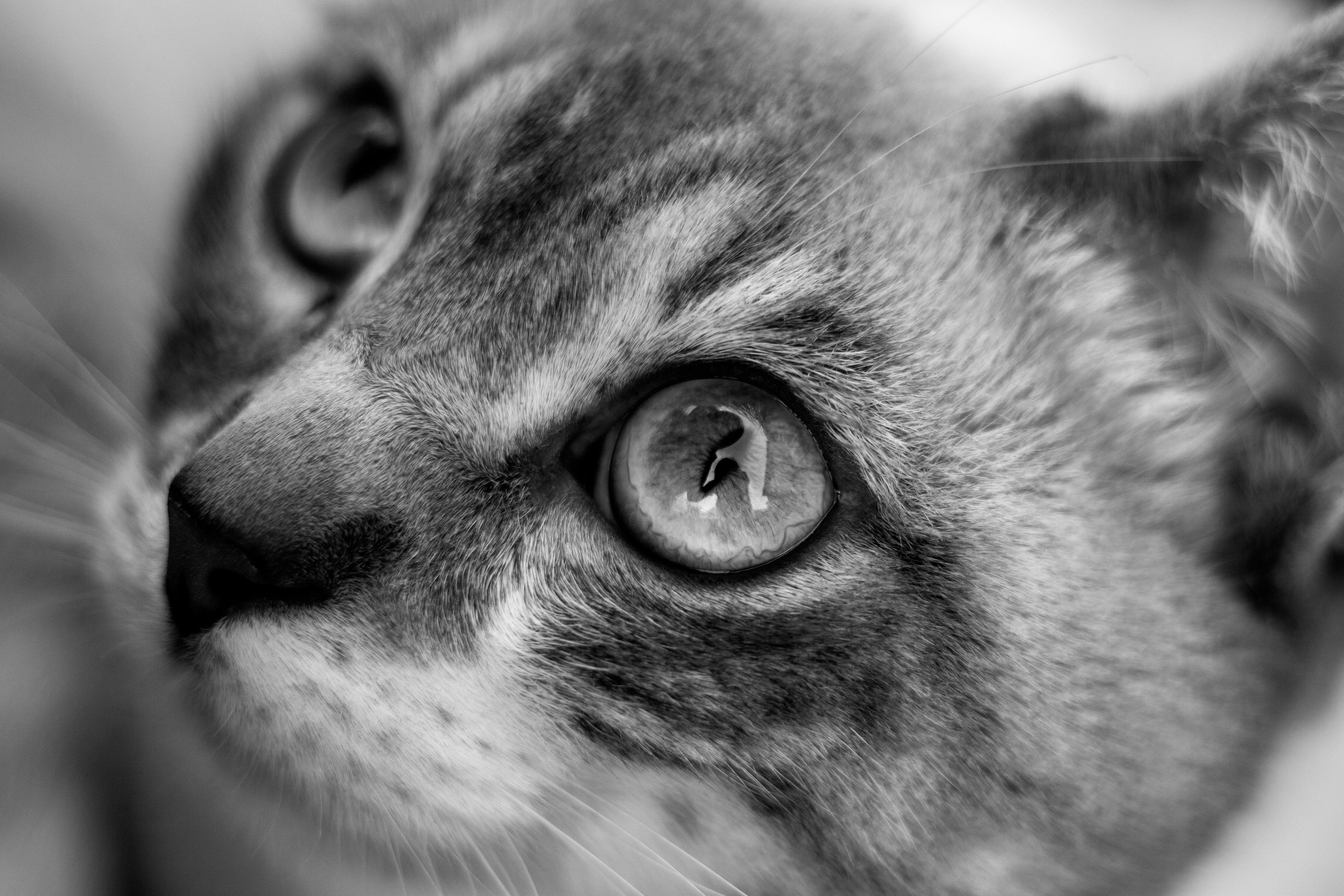 Photograph by Елена Федорова