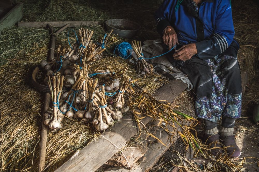 Фотография автора Ирина Эф