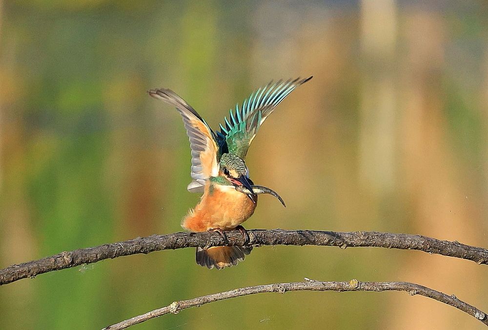 Photograph by Владилен Панченко