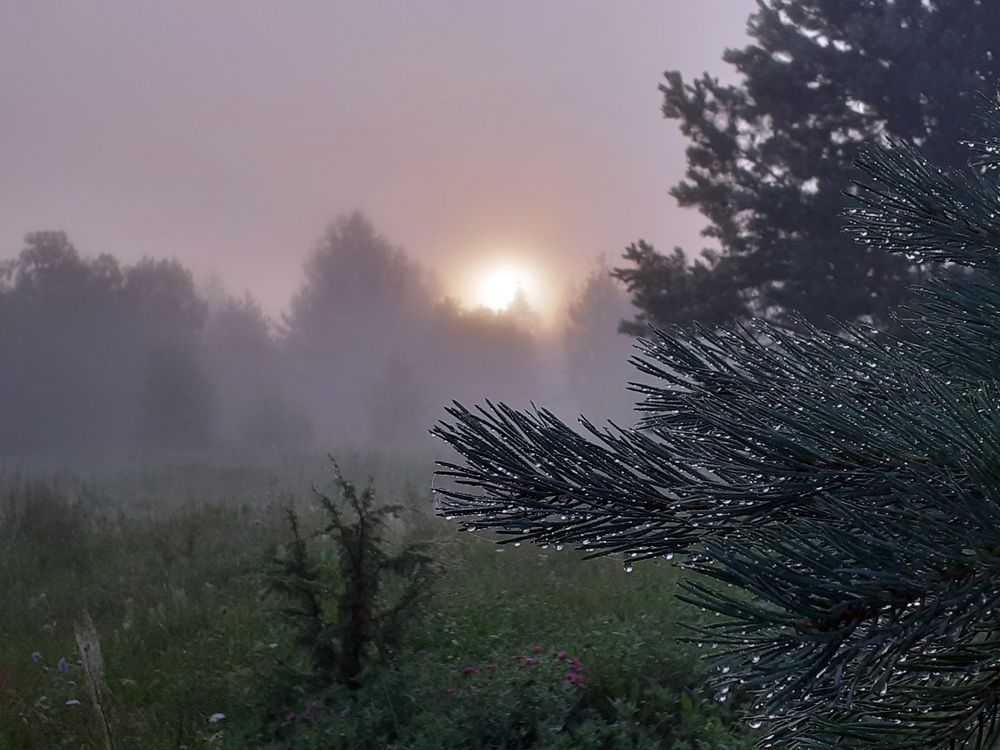 Photograph by Юрий Пучков