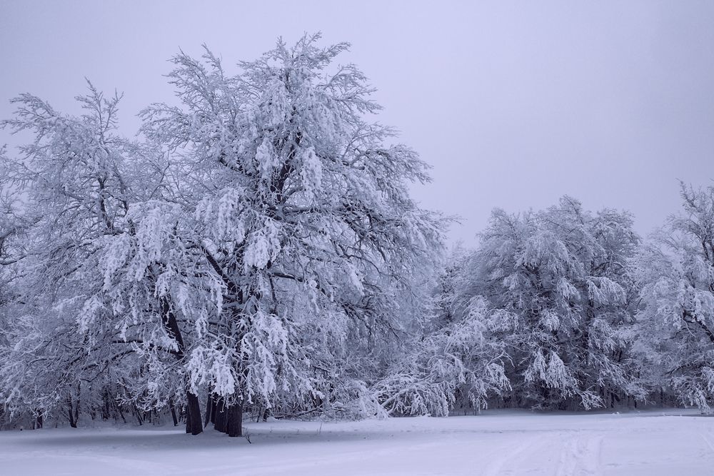 Photograph by Алла Никушкина