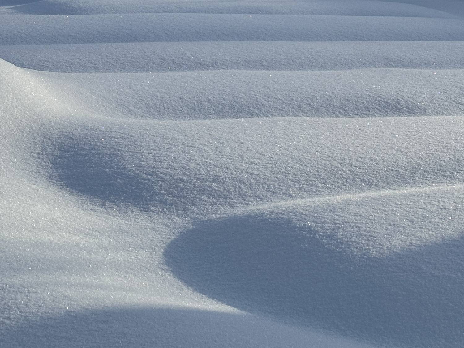 Фотография #13357690