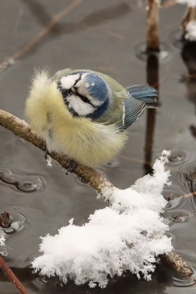 Photograph by Olga Bokareva