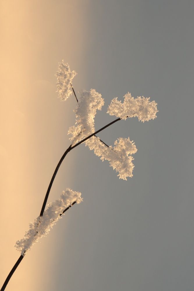 Photograph by Olga Bokareva