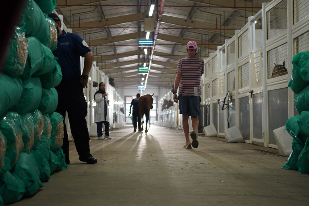 One stable, Dubai