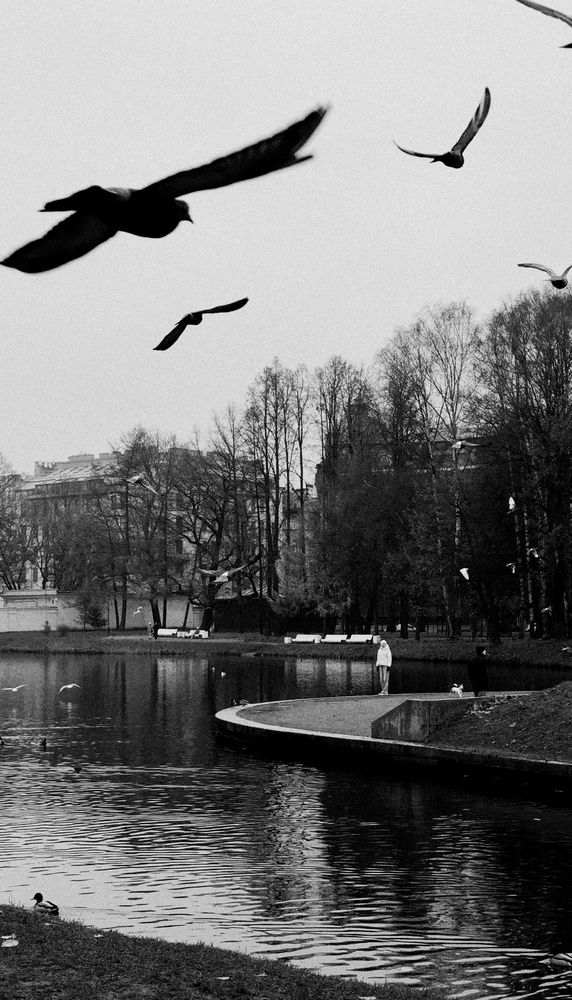 Photograph by Надя Акула