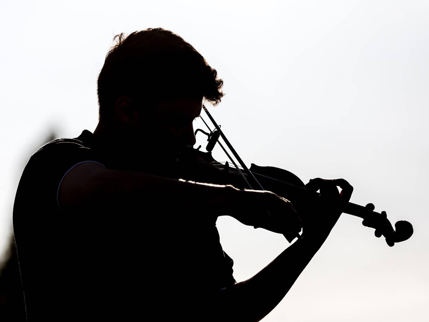 Концерт в тишине.