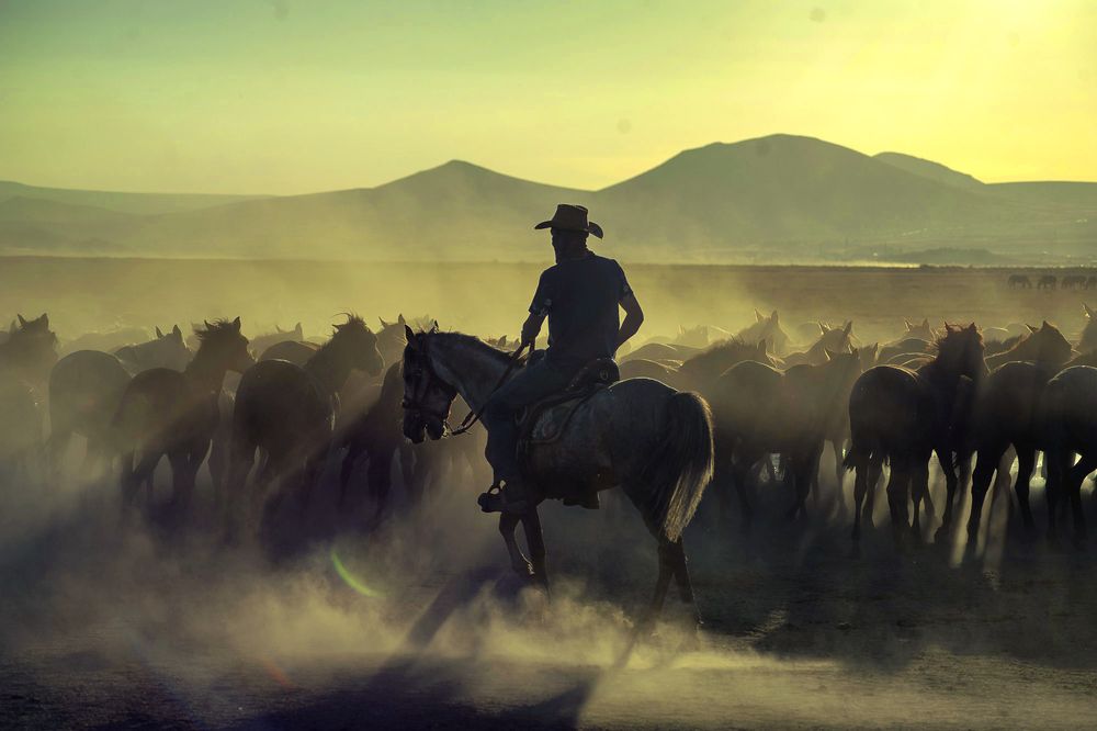 Photograph by DAMOUN POURNEMATI