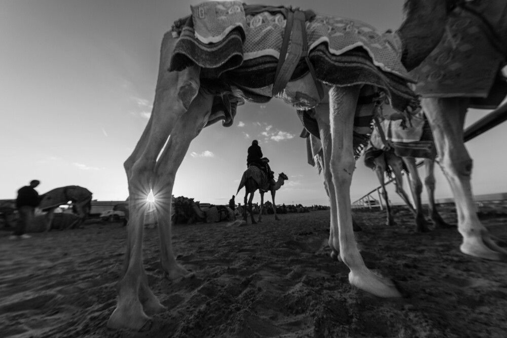 Photograph by Zubair Irshad