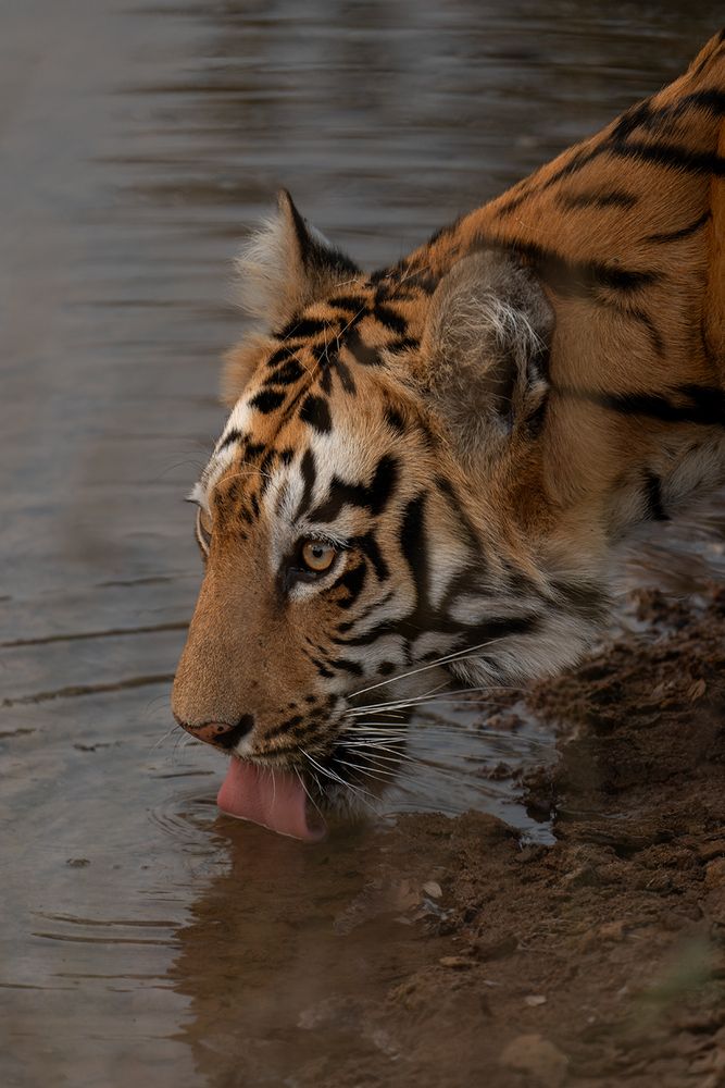 Photograph by Abhishek Kumar