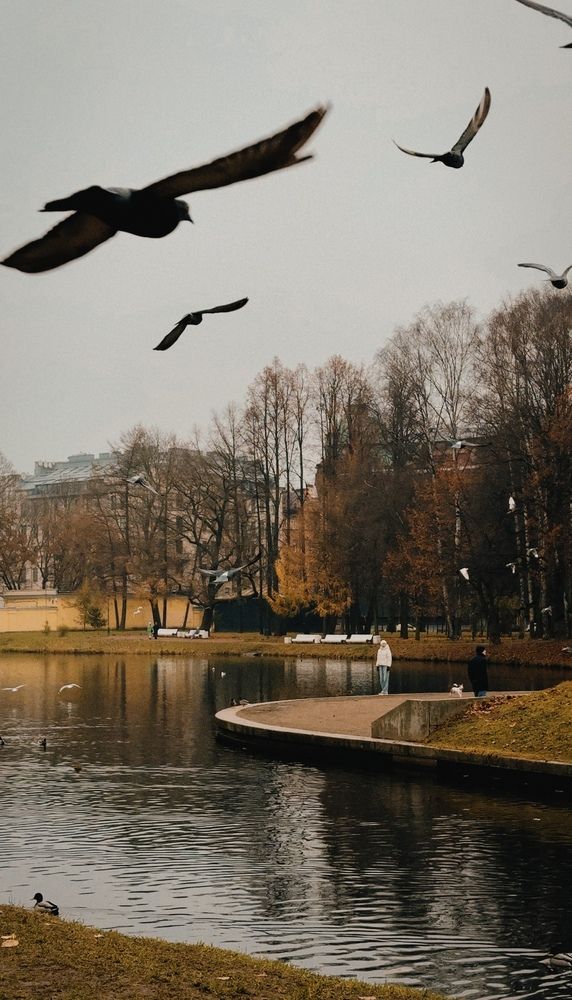 Photograph by Надя Акула