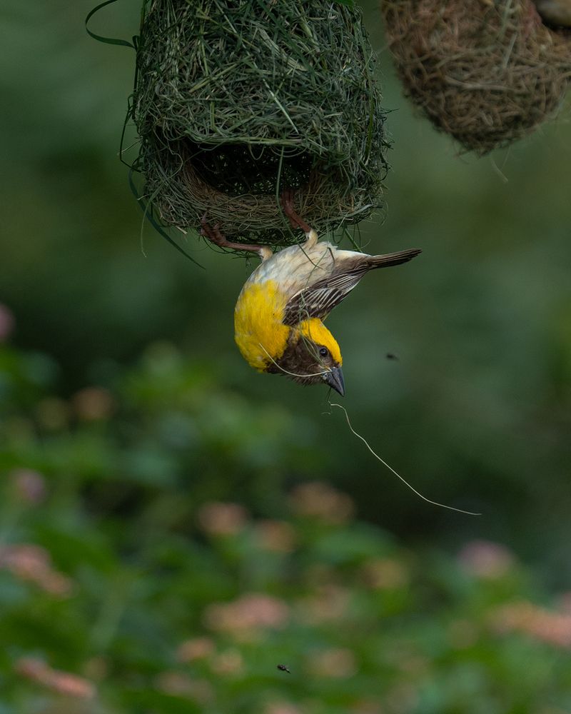 Photograph by Abhishek Kumar