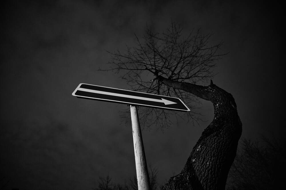 Photograph by Дмитрий Солодухин
