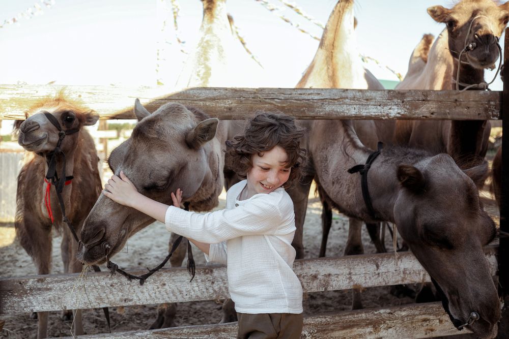 Photograph by Дарья Патук