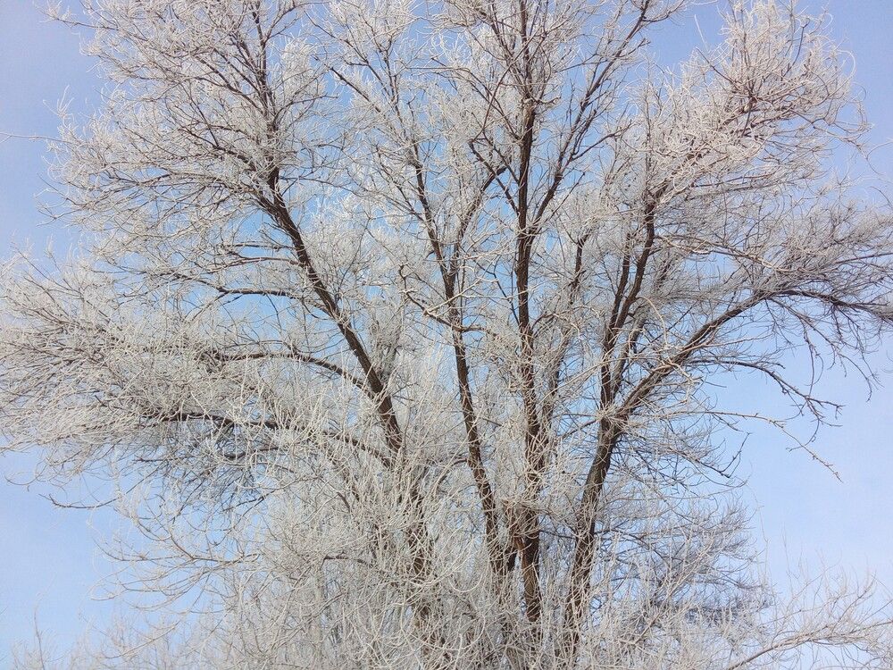Photograph by Юлия Шадрина