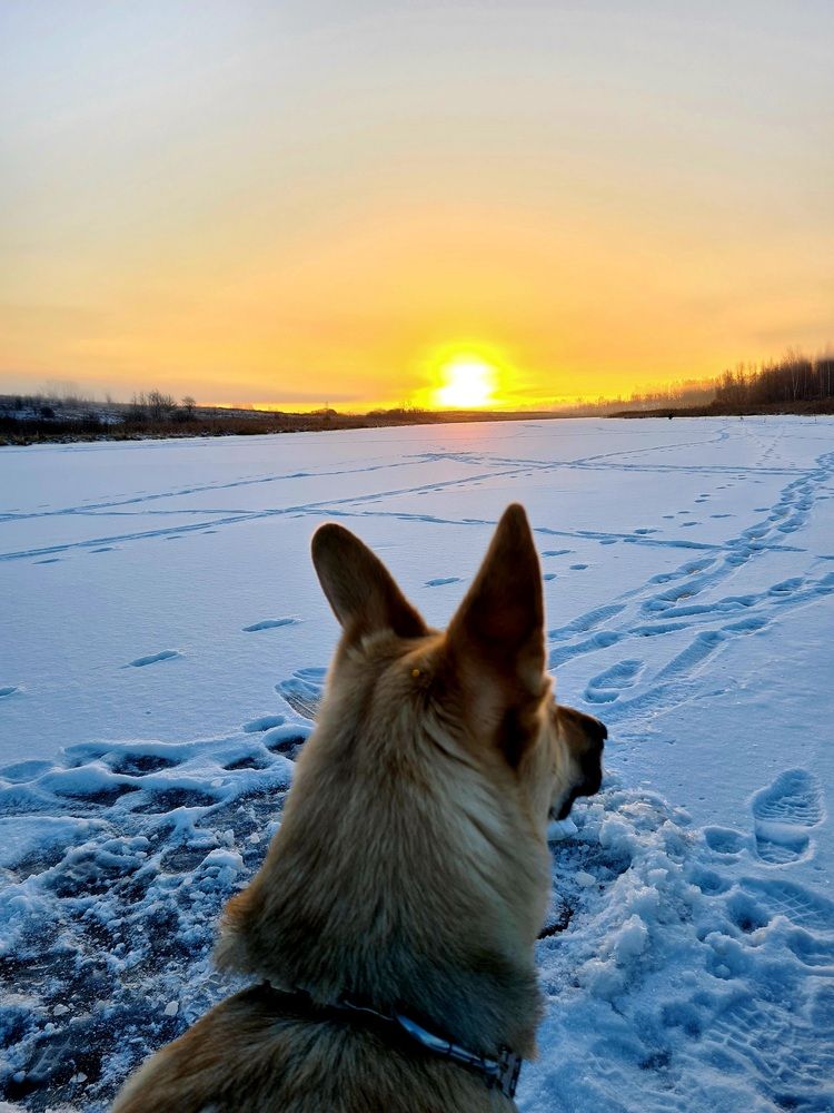 Photograph by Наталья Черепкова