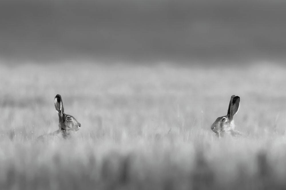 Фотография автора Nephotograph