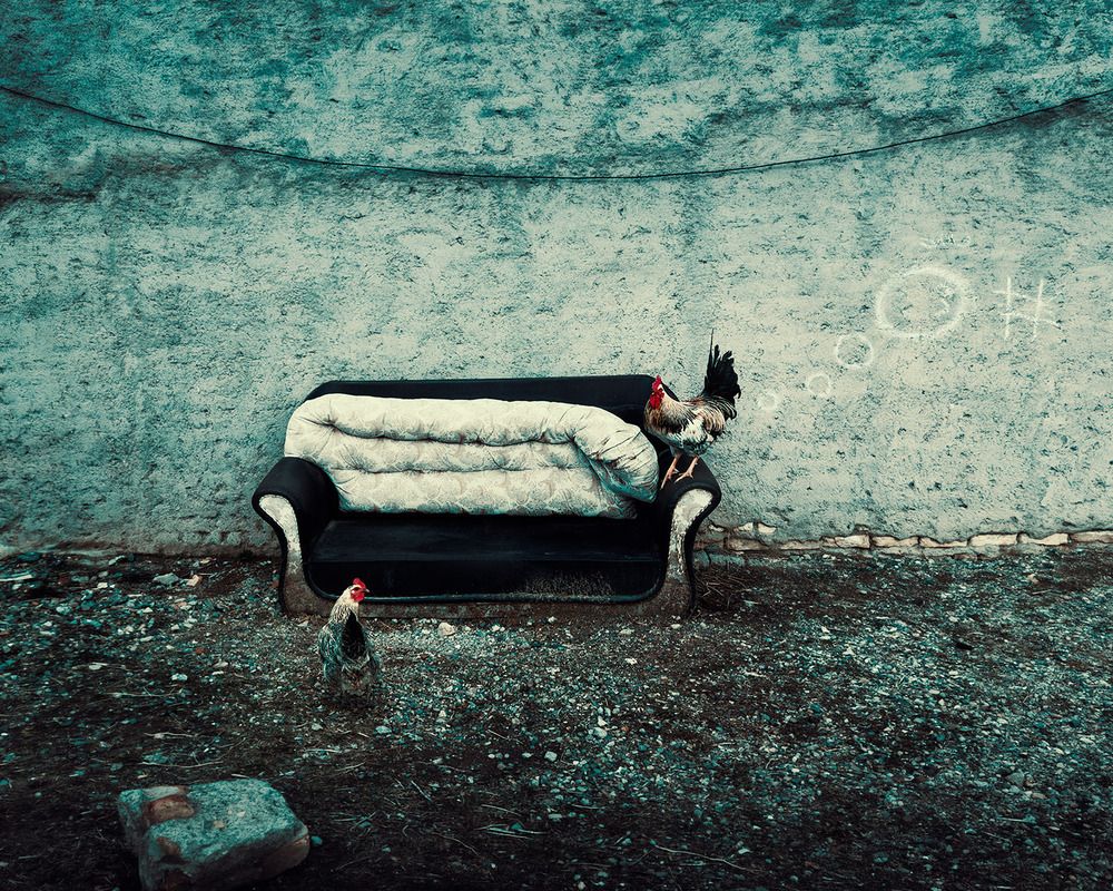 Фотография автора Farzad Ajori