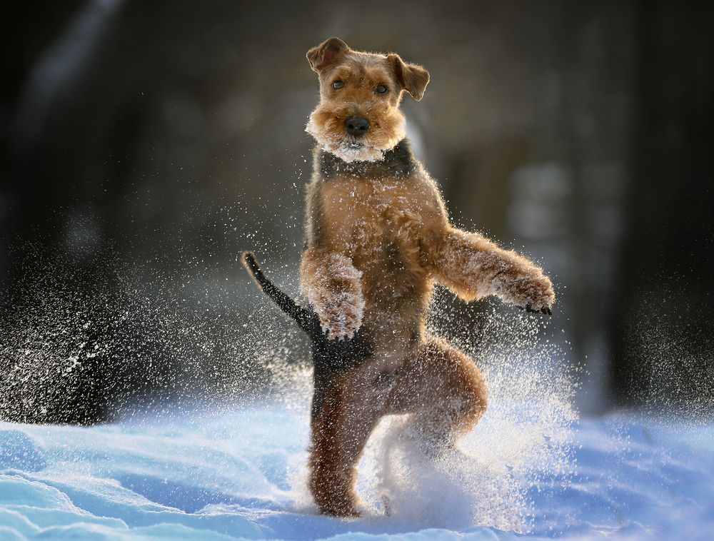Photograph by Андрей Ершов